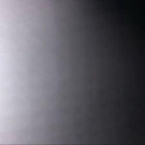 Meet your Posher, Shea